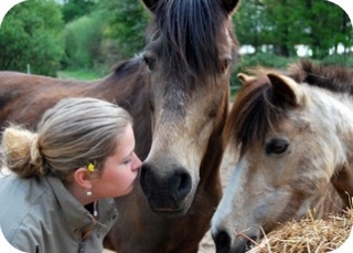  Ponyclub Gouro 